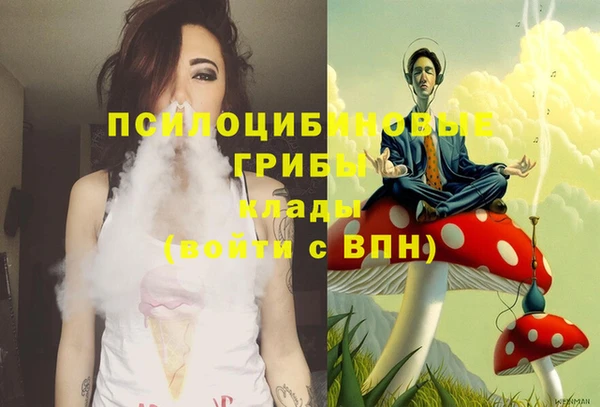 не бодяженный Алексин