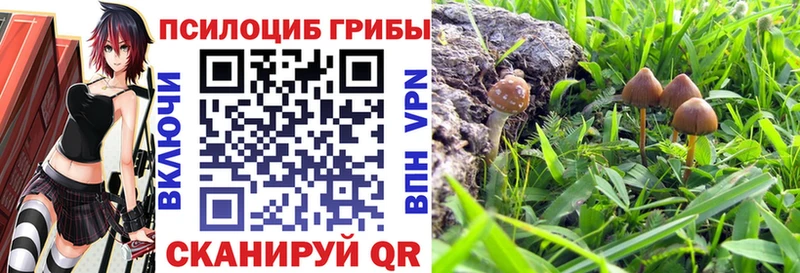 площадка официальный сайт Пыталово Псилоцибиновые грибы Psilocybine cubensis blacksprut онион